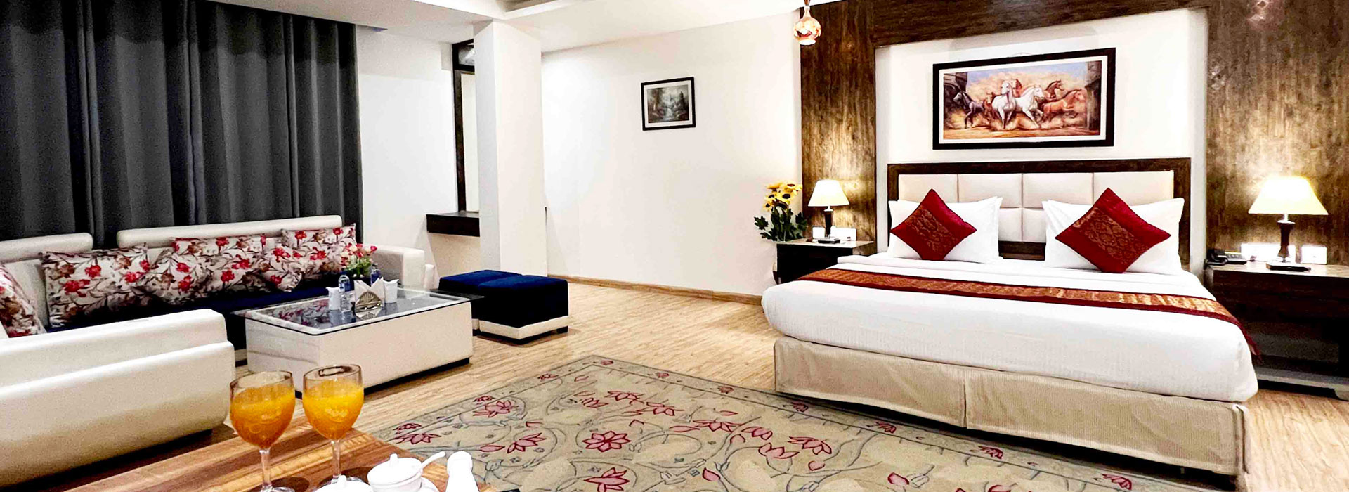 Hotel Delhi Airport Plaza